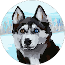 matthew tommy profile picture