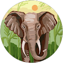 Chihera Mpofu profile picture